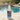 A bottle of Scale B-Gon Scale & Algae Remover jelly-thick liquid cleaner stands on a stone patio next to a swimming pool, with a blurred outdoor poolside background.