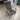 Agio Highback Sling Dining Chair